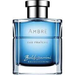 Туалетная вода Hugo Boss Baldessarini Ambre Eau Fraiche EDT для мужчин 90 мл цена и информация | Мужские духи | 220.lv