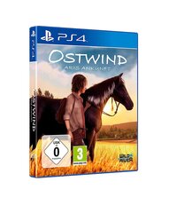 Ostwind - прибытие АРИС цена и информация | Компьютерные игры | 220.lv