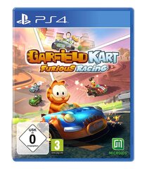 Garfield Kart Furious Racing - [PlayStation 4] цена и информация | Компьютерные игры | 220.lv