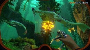 Gearbox Publishing subnautica цена и информация | Игра SWITCH NINTENDO Монополия | 220.lv