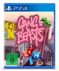 Spēle Gang Beasts - [PlayStation 4] цена и информация | Компьютерные игры | 220.lv