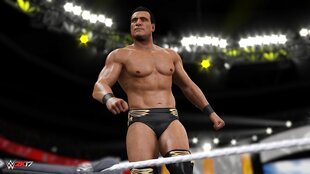 WWE 2K17 - [PlayStation 4] цена и информация | Компьютерные игры | 220.lv