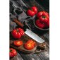 Samura OKINAWA Universāls virtuves Nakiri nazis 6.8"/172mm no AUS 8 Japāņu tērauda 59 HRC цена и информация | Naži un to piederumi | 220.lv