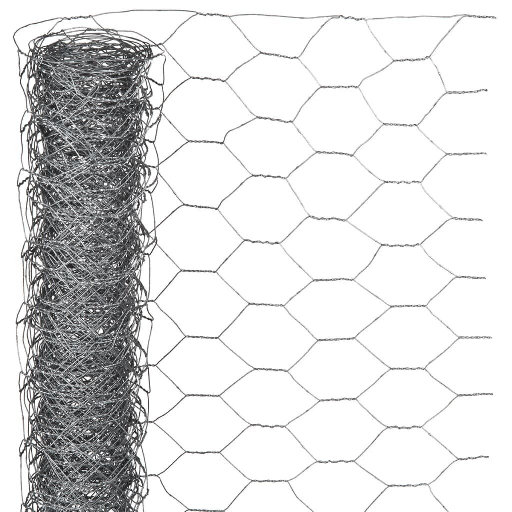 Nature stiepļu siets, 1x10m, cinkots tērauds, 25mm цена и информация | Žogi un piederumi | 220.lv