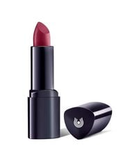 Lūpu krāsa Dr. Hauschka Lipstick 22 Millionbells, 4.1 g cena un informācija | Lūpu krāsas, balzāmi, spīdumi, vazelīns | 220.lv