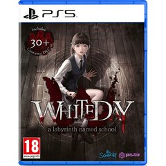 White Day A Labyrinth Named School цена и информация | Компьютерные игры | 220.lv