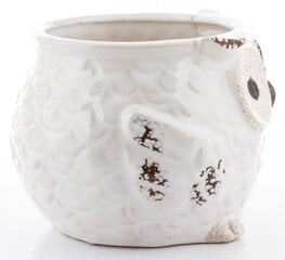 Keramikas puķu pods 12 x 10(A) cm, apaļš, balta цена и информация | Вазоны | 220.lv