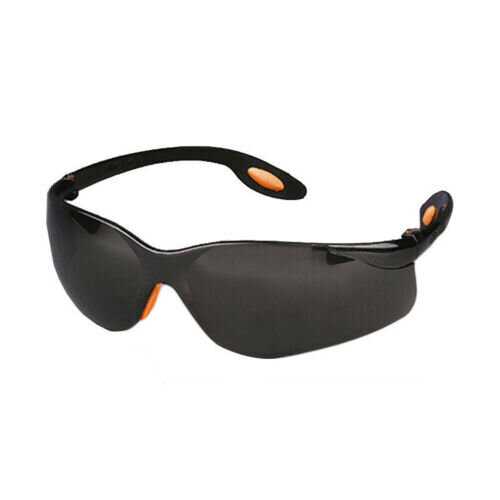 Caurspīdīgas aizsargbrilles cena un informācija | Darba apģērbi | 220.lv