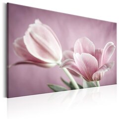 Glezna - Romantic Tulips 60x40 cm cena un informācija | Gleznas | 220.lv