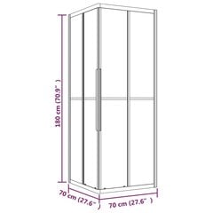 vidaXL dušas kabīne, matēts ESG stikls, 70x70x180 cm, melna cena un informācija | Dušas kabīnes | 220.lv