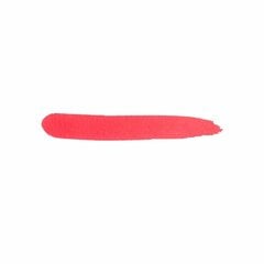 Mаркер для губ Kiko Milano Long Lasting Colour Lip Marker, 110 Magenta Pink цена и информация | Помады, бальзамы, блеск для губ | 220.lv