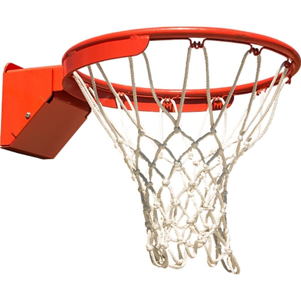 Tīkls basketbola grozam Netex cena un informācija | Citi basketbola aksesuāri | 220.lv
