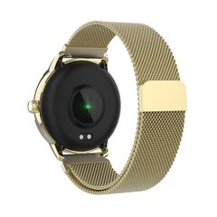 Denver SW-360GO цена и информация | Смарт-часы (smartwatch) | 220.lv