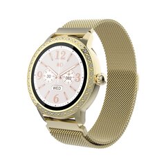 Denver SW-360 Gold цена и информация | Смарт-часы (smartwatch) | 220.lv