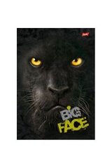 Mape A5/96l kvadrāts "Big Face" 4 motīvi, 70g, cietie vāki цена и информация | Канцелярия | 220.lv