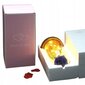 Mūžīgā roze ar LED fotogaismu cena un informācija | Citas oriģinālas dāvanas | 220.lv