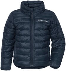 Легкая стеганая детская куртка DIDRIKSONS 503822-039-100 цена и информация | Куртки для мальчиков | 220.lv
