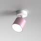Milagro griestu lampa Dixie Pink цена и информация | Griestu lampas | 220.lv