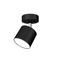 Настенный светильник DIXIE BLACK 1xGX53 цена и информация | Потолочные светильники | 220.lv