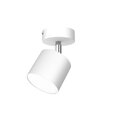 Milagro griestu lampa Dixie White