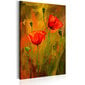 Glezna - The Awakening of Poppy 60x90 cm цена и информация | Gleznas | 220.lv