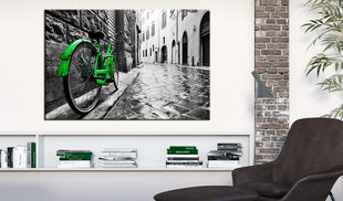 Glezna - Vintage Green Bike 120x80 cm cena un informācija | Gleznas | 220.lv