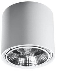 "Tiube" griestu lampa, balta цена и информация | Потолочные светильники | 220.lv