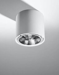"Tiube" griestu lampa, balta цена и информация | Потолочные светильники | 220.lv