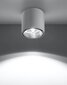 "Tiube" griestu lampa, balta цена и информация | Griestu lampas | 220.lv