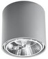 "Tiube" griestu lampa, pelēka цена и информация | Griestu lampas | 220.lv
