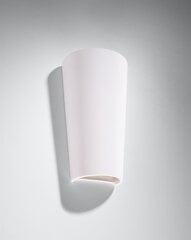 Настенный светильник Opviq Avni цена и информация | Настенные светильники | 220.lv