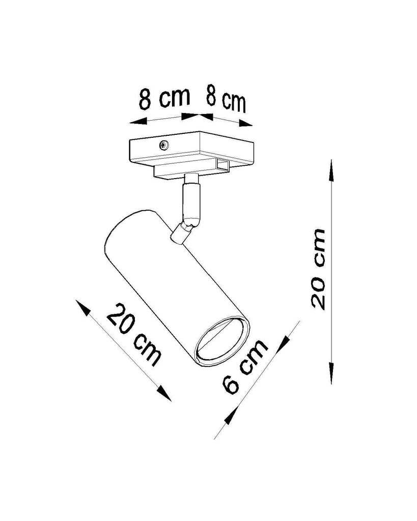 Griestu lampa cena un informācija | Griestu lampas | 220.lv