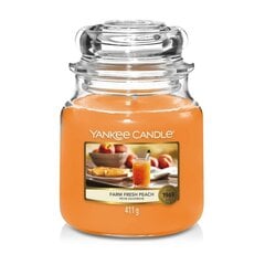 Vidēji aromātiska svece Yankee CAanfle Medium Jar Farm Fresh Peach, 411 g cena un informācija | Sveces un svečturi | 220.lv