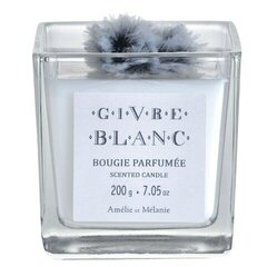 Ароматическая свеча Lothantique Givre Blanc, 200г цена и информация | Подсвечники, свечи | 220.lv