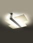 Griestu lampa cena un informācija | Griestu lampas | 220.lv