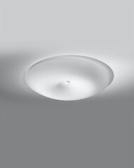 Griestu lampa цена и информация | Потолочные светильники | 220.lv