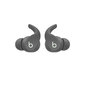 Beats Fit Pro True Wireless Earbuds — Sage Grey - MK2J3ZM/A цена и информация | Austiņas | 220.lv