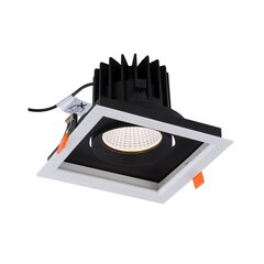 LED lampa Nowodvorski CL Dia 30W 3000K 8720 цена и информация | Монтируемые светильники, светодиодные панели | 220.lv