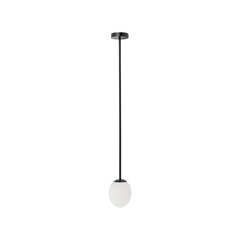 Lampa Nowodvorski Ice Egg A 8124 cena un informācija | Lustras | 220.lv