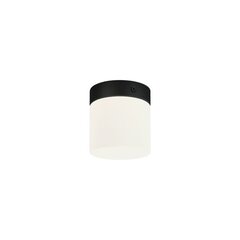 Griestu lampa Nowodvorski Cayo 8055, melna цена и информация | Потолочные светильники | 220.lv