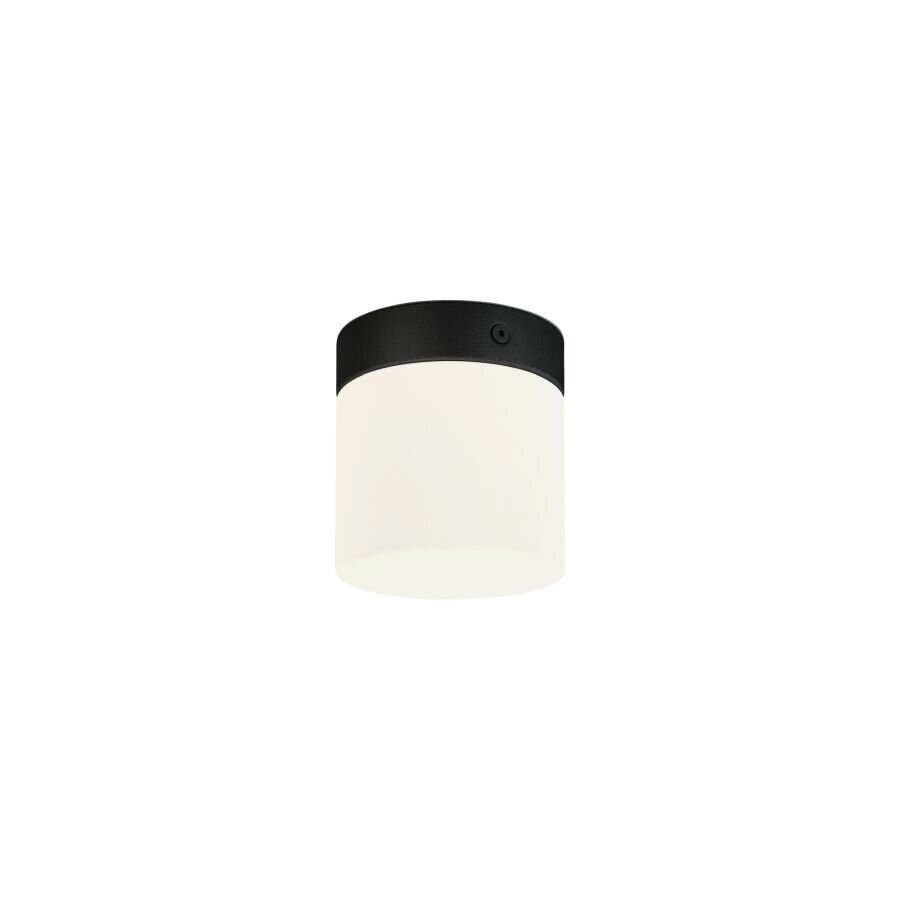 Griestu lampa Nowodvorski Cayo 8055, melna cena un informācija | Griestu lampas | 220.lv