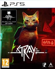 Stray Playstation 5 PS5 игра цена и информация | Игра SWITCH NINTENDO Монополия | 220.lv