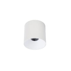 LED lampa Nowodvorski CL IOS 20W 4000K ANGLE 60 8743 цена и информация | Потолочные светильники | 220.lv