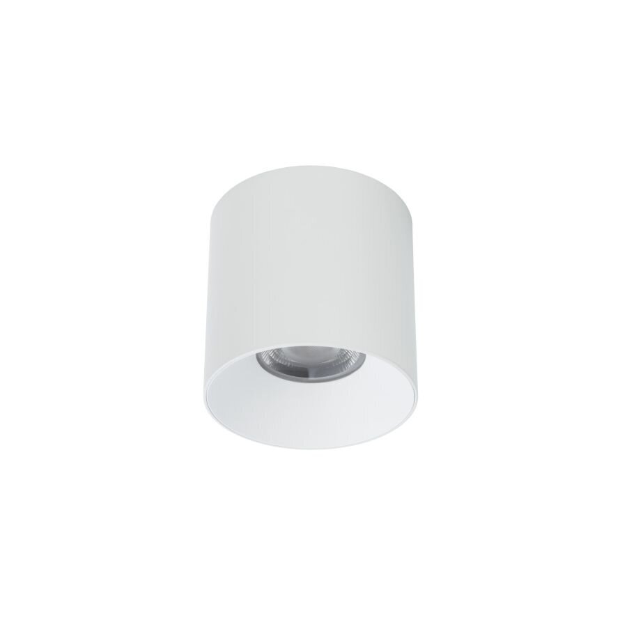 LED lampa Nowodvorski CL IOS 30W 3000K ANGLE 60 8735 cena un informācija | Griestu lampas | 220.lv