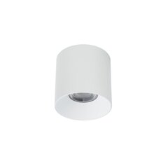 LED lampa Nowodvorski CL IOS 30W 4000K ANGLE 36 8730 cena un informācija | Griestu lampas | 220.lv