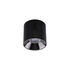 LED lampa Nowodvorski CL IOS 30W 3000K ANGLE 36 8728 цена и информация | Потолочные светильники | 220.lv