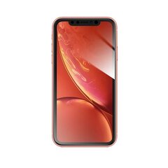 9H oleofobisks pārklājums ekrāna aizsargs Forcell Flexible Nano Glass 5D for iPhone Xr/11 6,1" black cena un informācija | Ekrāna aizsargstikli | 220.lv