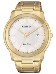 Citizen Eco-Drive Elegant AW1212-87A cena un informācija | Vīriešu pulksteņi | 220.lv