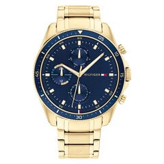 Мужские часы Tommy Hilfiger 1791834 цена и информация | Мужские часы | 220.lv