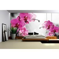 Orchid Pink cena un informācija | Fototapetes | 220.lv